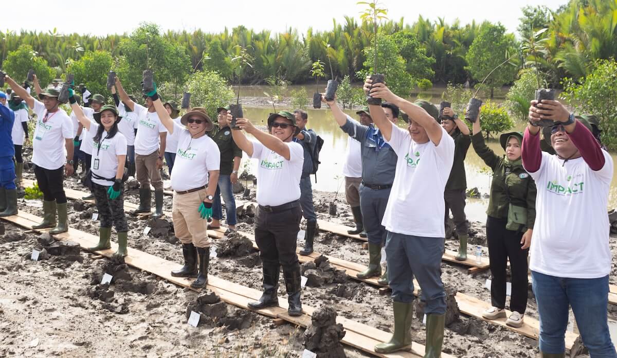 Growing the Rainforests of the Sea - Indika Nature