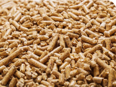 Biomass with Wood Pellet